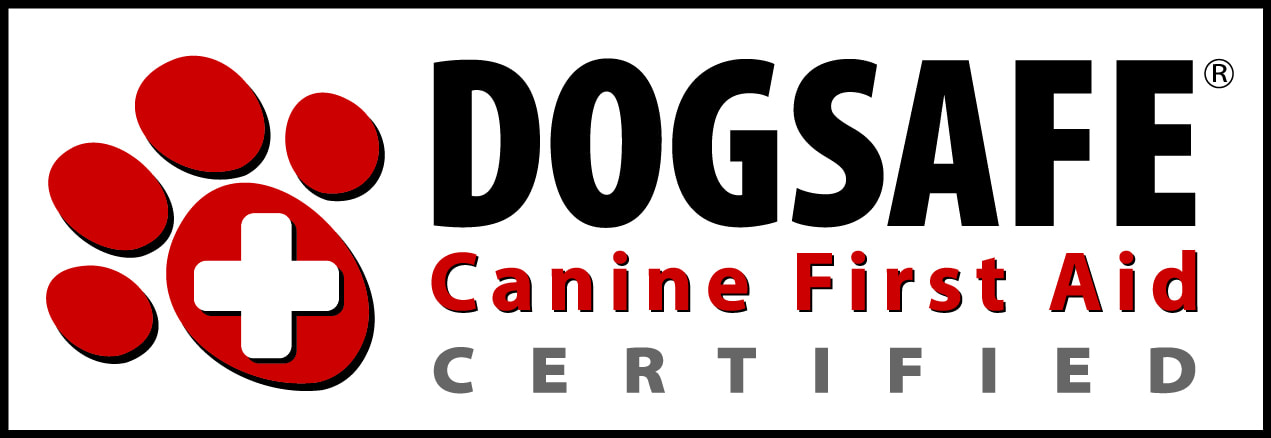 DogSafe logo