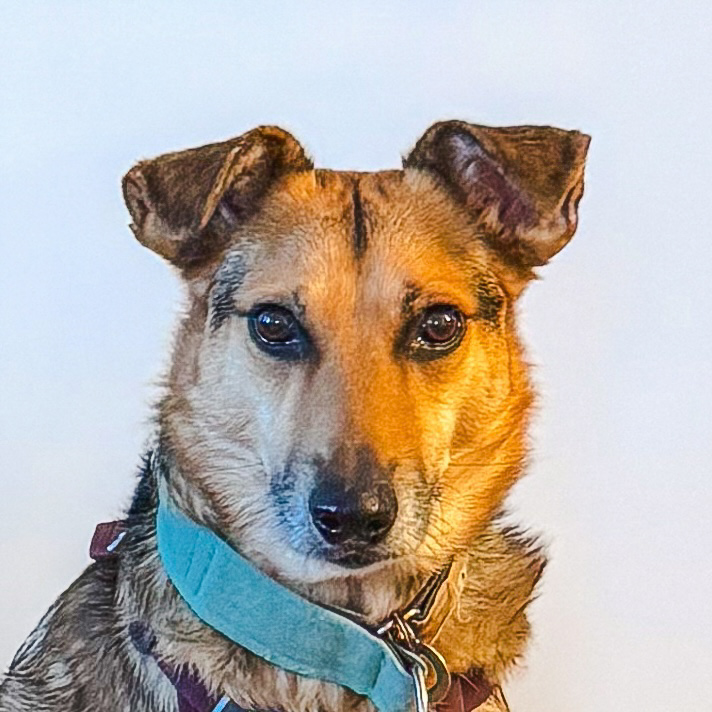 arthur headshot on a plain background