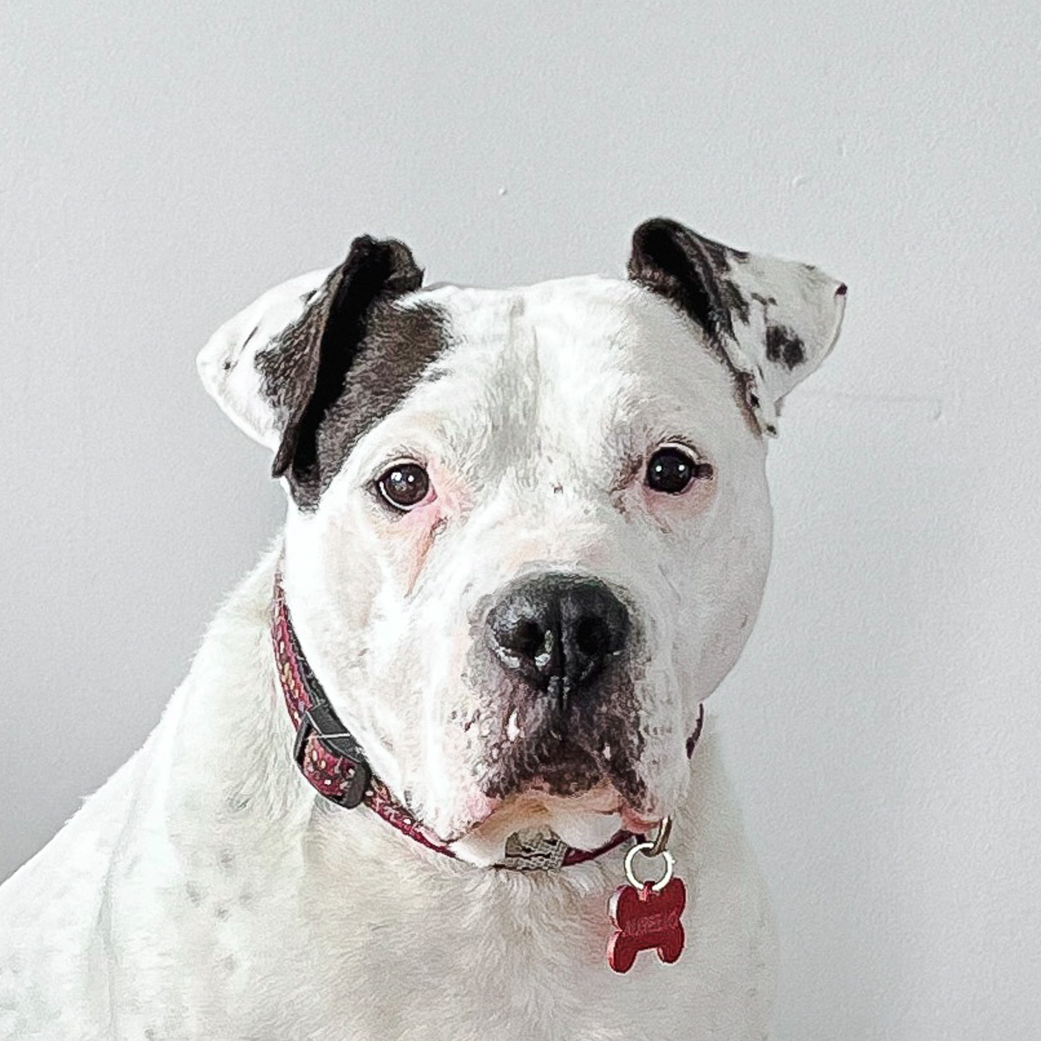 aurelio headshot on a plain background