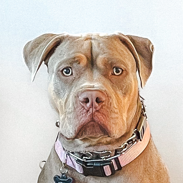 dakota headshot on a plain background