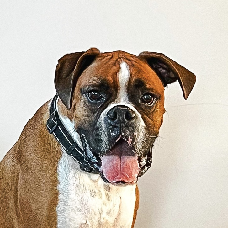 hennessy headshot on a plain background