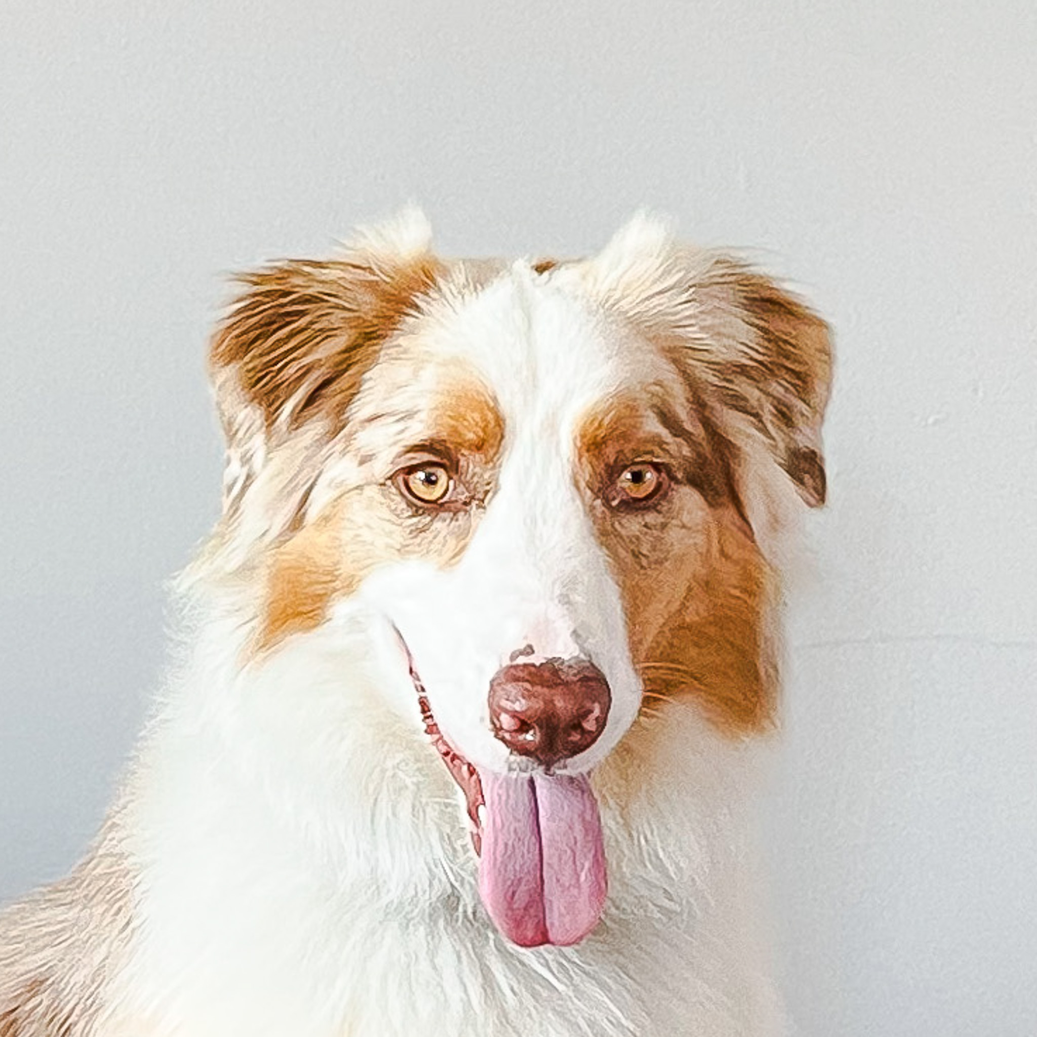 koda headshot on a plain background