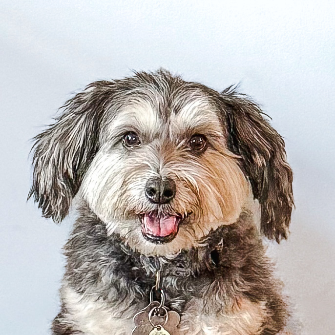 maddy headshot on a plain background