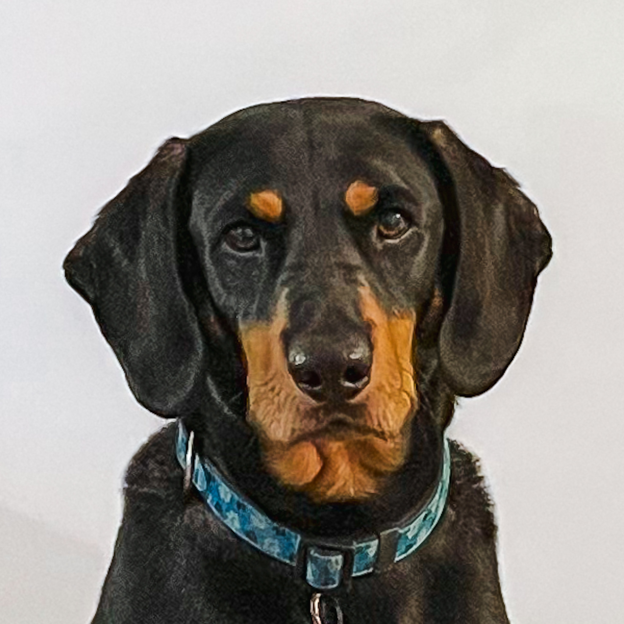 odie headshot on a plain background